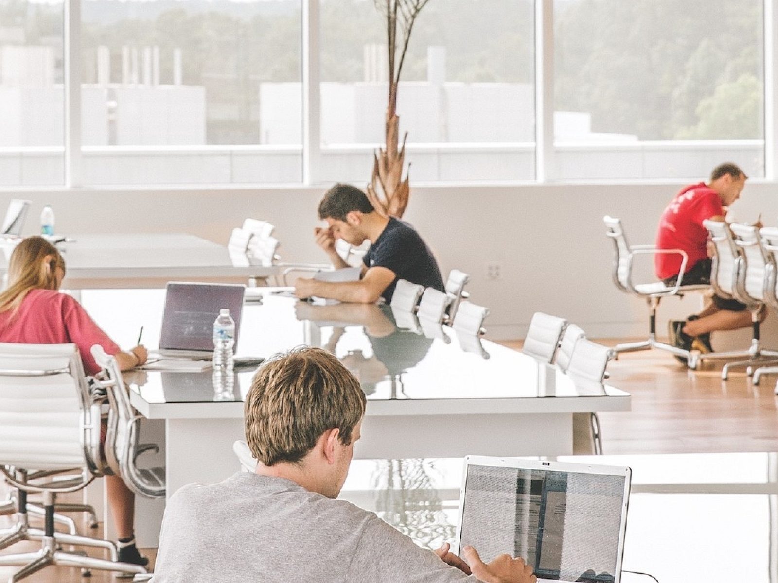 Mh Sol Edu Ovw Jpg Rendition 1920 1920Education Primary